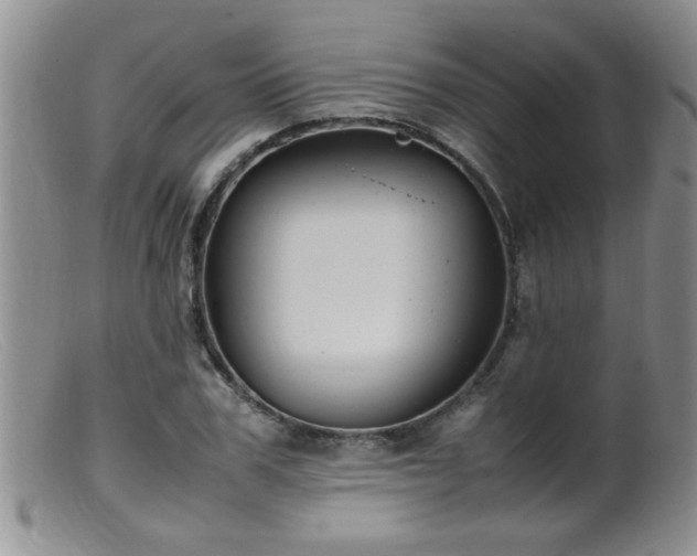 X0000099460979200805161043