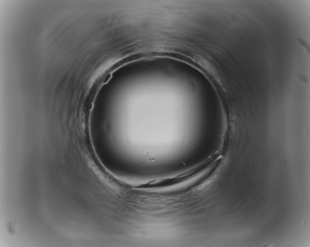 X0000099460981200805161043