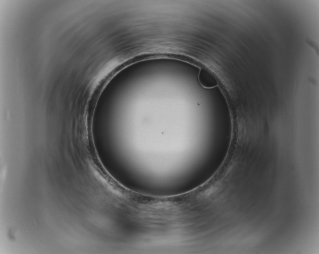 X0000099460982200805161043