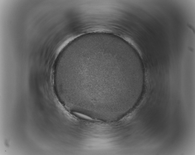 X0000099460983200805161043