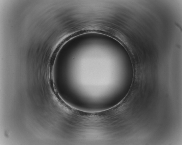 X0000099460984200805161043