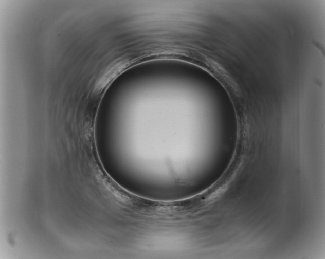 X0000099460985200805161043