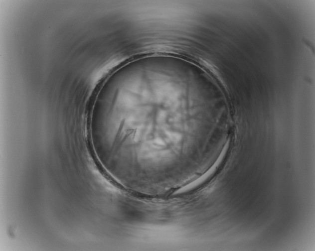 X0000099460987200805161043