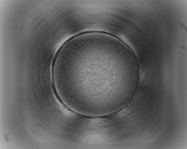 X0000099460988200805161043