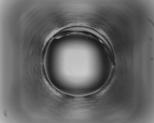 X0000099460989200805161043