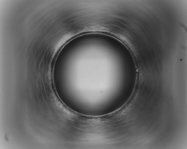 X0000099460990200805161043