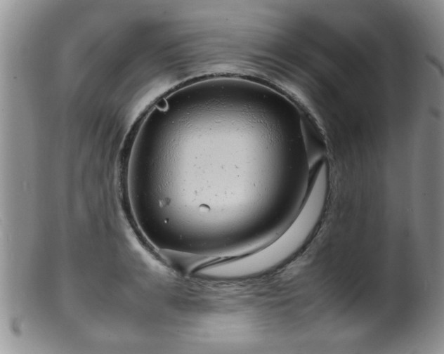 X0000099460991200805161043