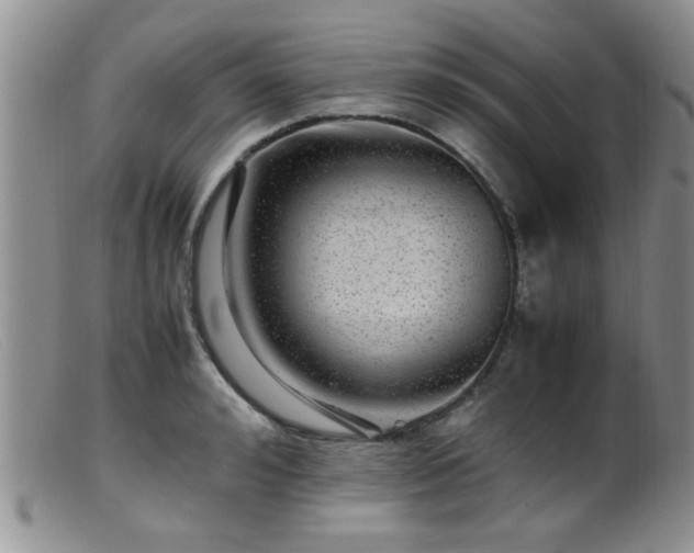 X0000099460992200805161043