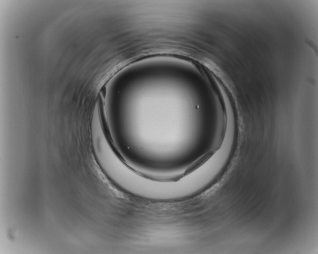 X0000099460993200805161043