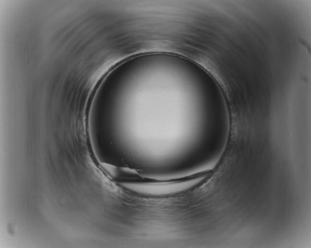 X0000099460996200805161043