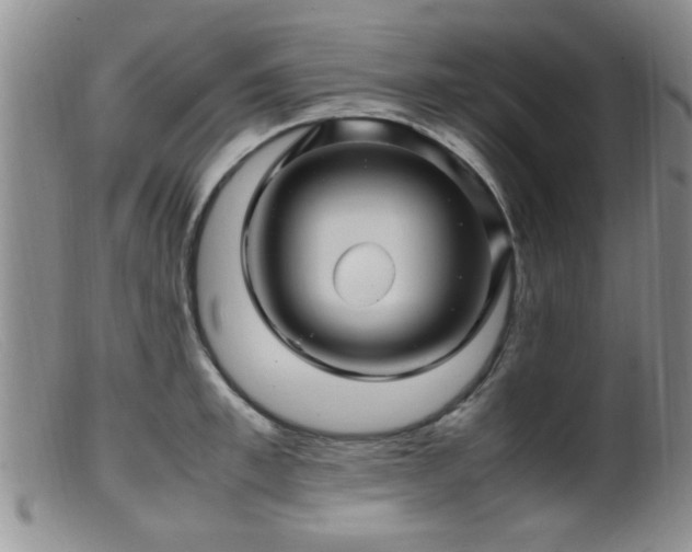 X0000099460997200805161043