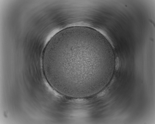 X0000099460998200805161042