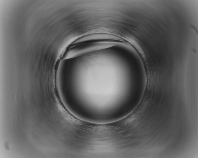 X0000099461000200805161042