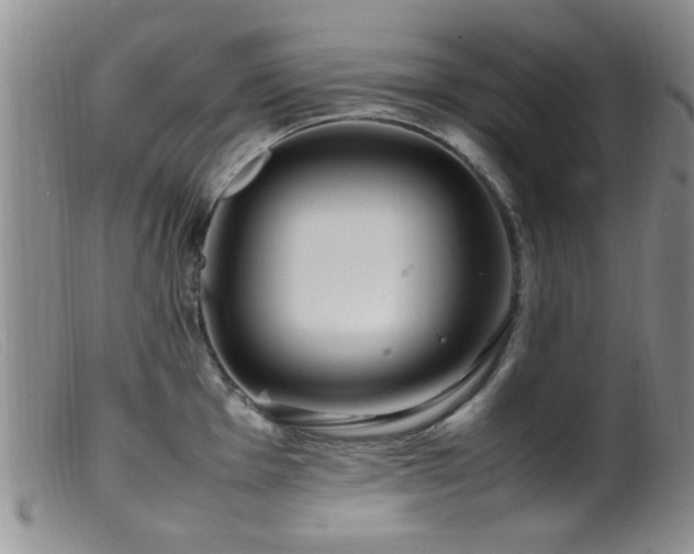 X0000099461001200805161042