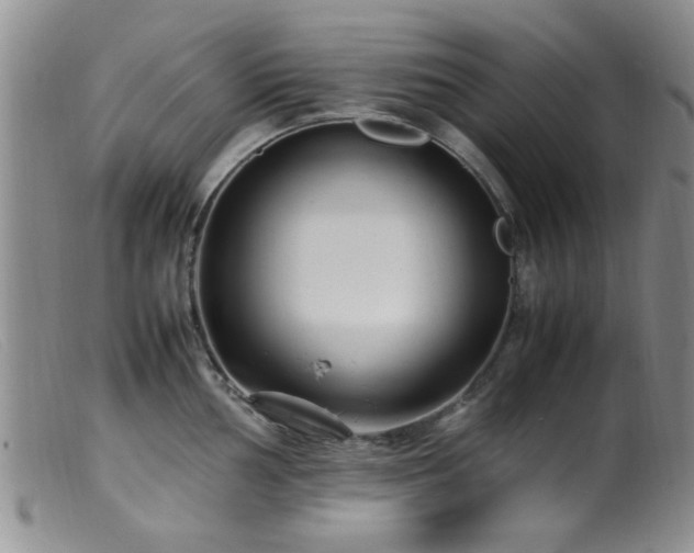 X0000099461002200805161042