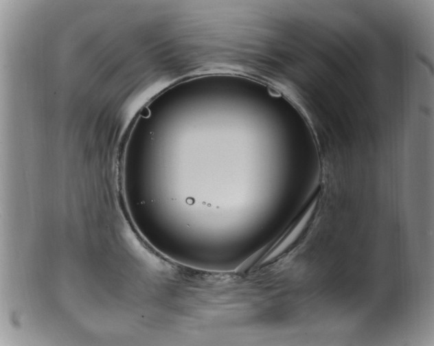 X0000099461003200805161042