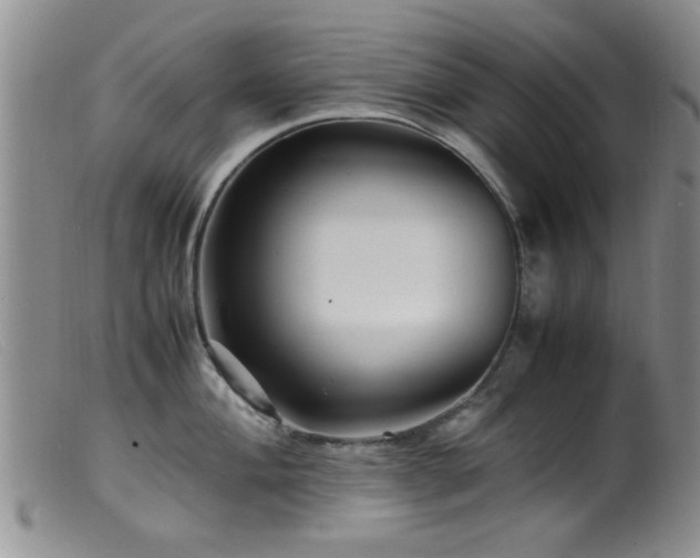 X0000099461004200805161042