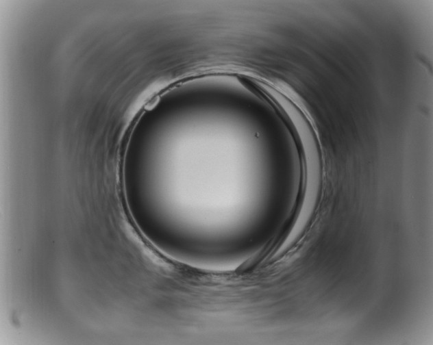 X0000099461005200805161042