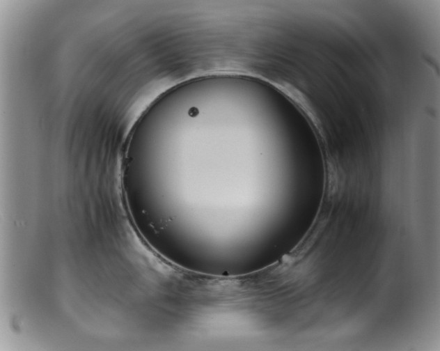 X0000099461006200805161042