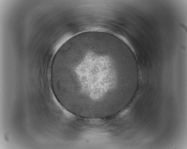 X0000099461007200805161042