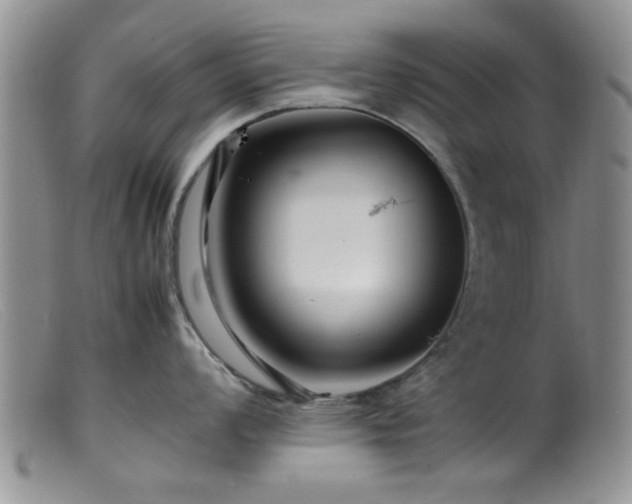 X0000099461008200805161042