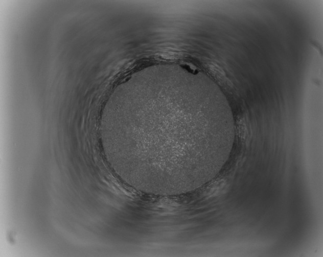 X0000099461009200805161042