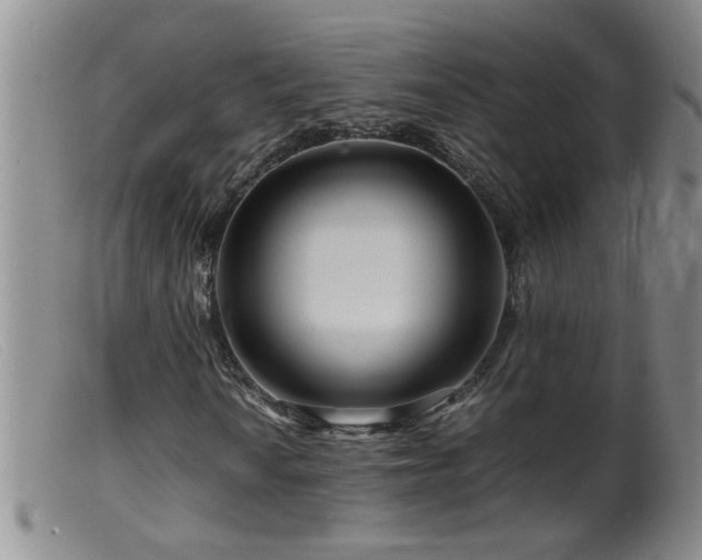 X0000099461010200805161042