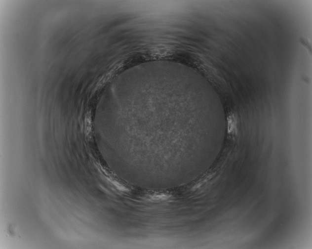 X0000099461011200805161042