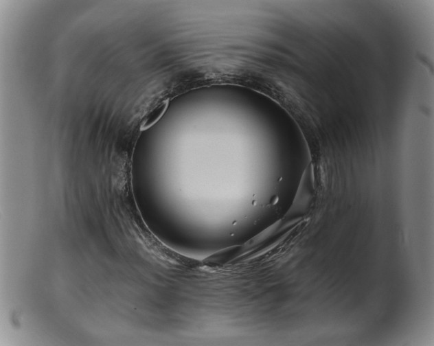 X0000099461012200805161042