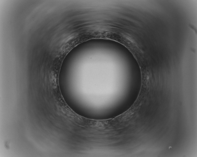 X0000099461013200805161042