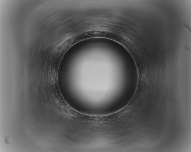 X0000099461014200805161042