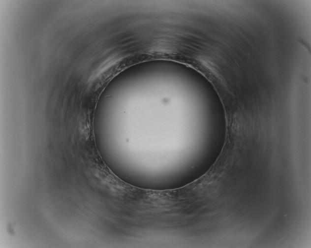 X0000099461015200805161042