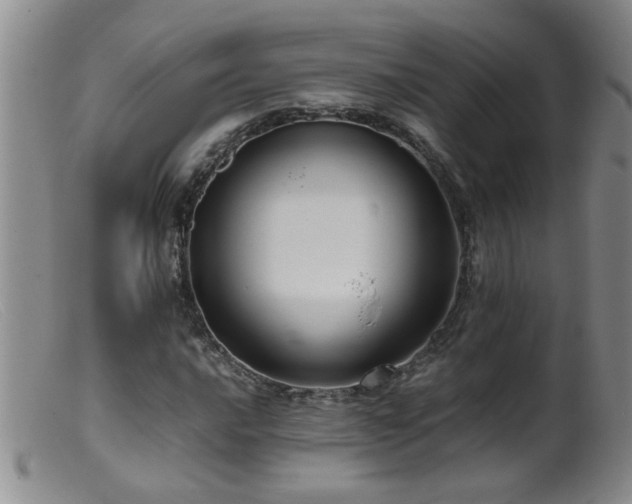 X0000099461016200805161042