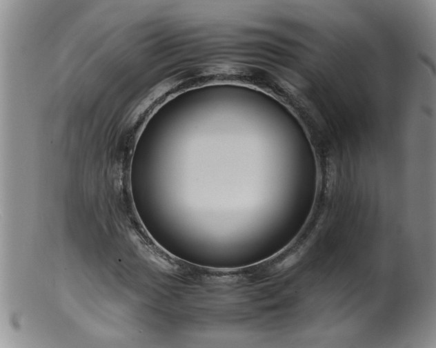 X0000099461017200805161042