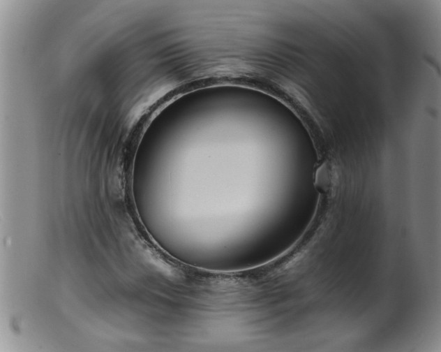 X0000099461018200805161042