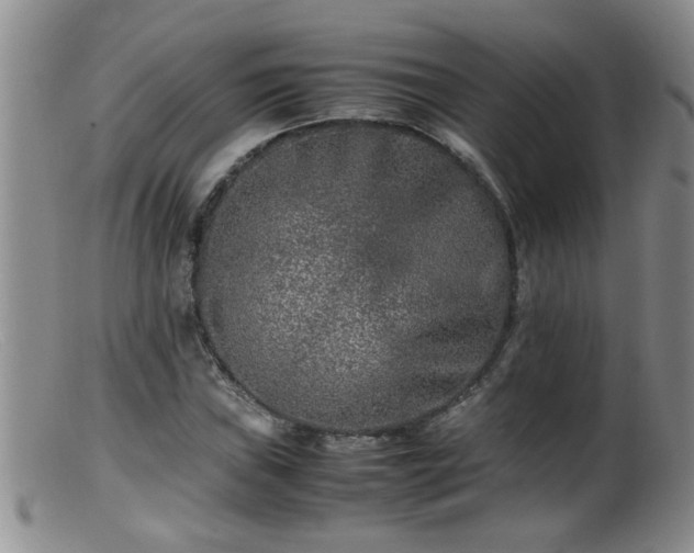 X0000099461019200805161042