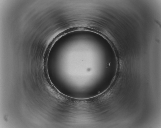 X0000099461020200805161042