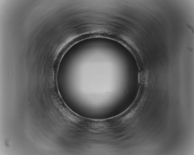 X0000099461021200805161042