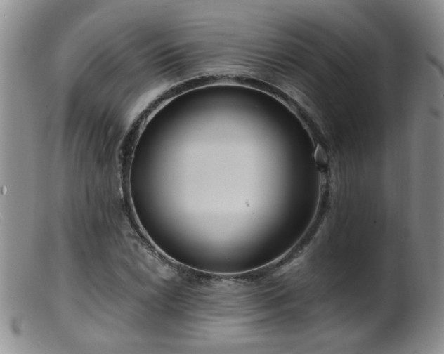 X0000099461022200805161042