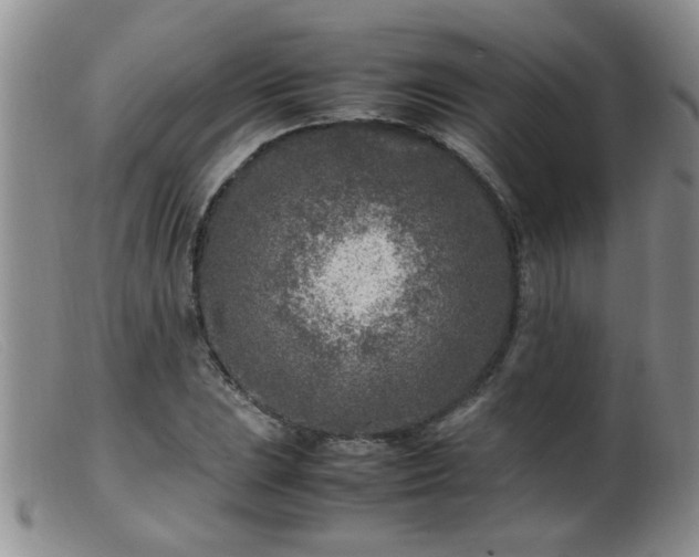 X0000099461023200805161042