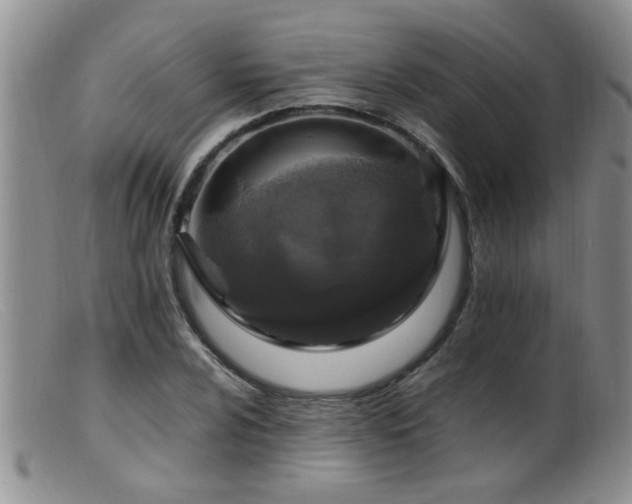 X0000099461024200805161042