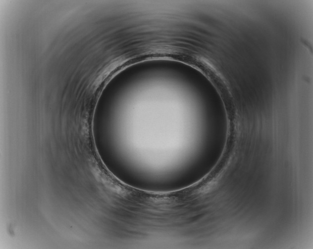 X0000099461025200805161042