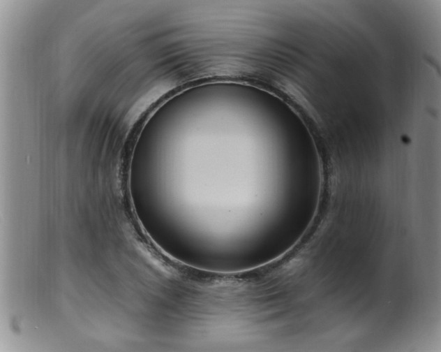 X0000099461026200805161042