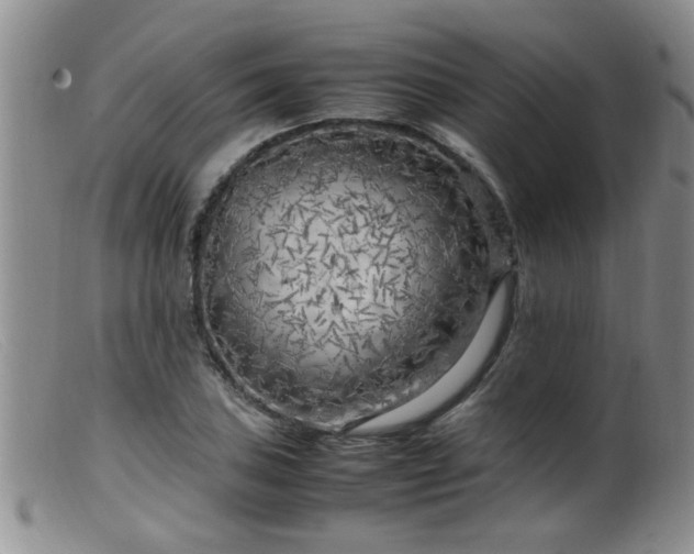 X0000099461027200805161042
