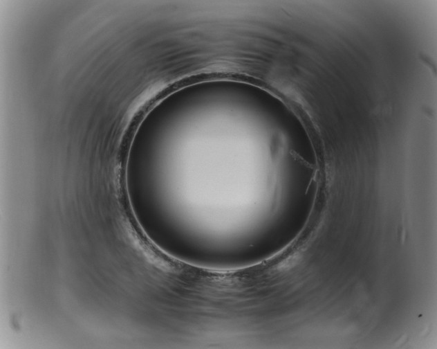 X0000099461029200805161042