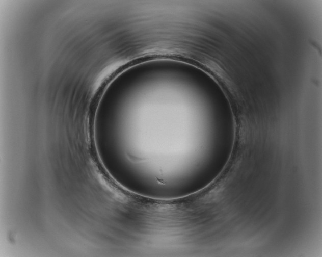 X0000099461030200805161042