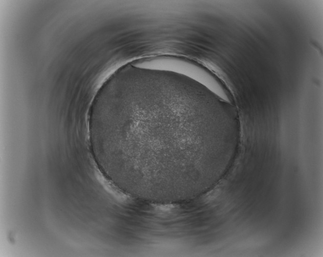 X0000099461031200805161042