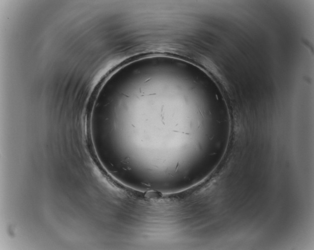 X0000099461032200805161042