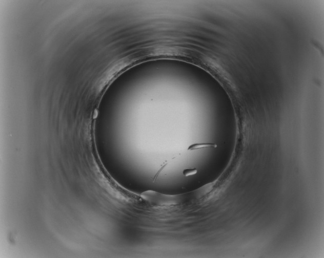 X0000099461033200805161042