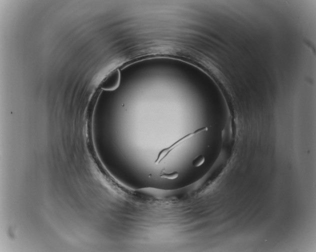 X0000099461034200805161042